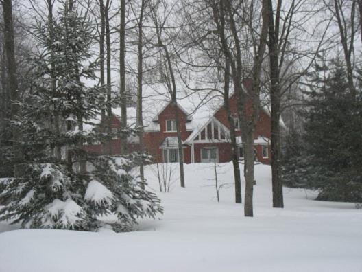 Bed and Breakfast Maple Woods Casselman Exterior foto